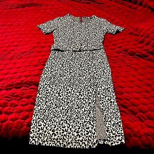 Zara Leopard Print Dress, Size Small.